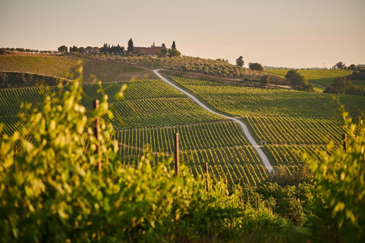 Chimera Tuscany Resort 아레초 외부 사진
